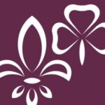 Mouvement Scout de Suisse (MSdS)