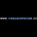 Virus Architecture