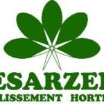 ETS HORTICOLE DESARZENS