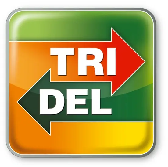 TRIDEL SA