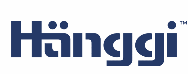 Heinz Hänggi Swiss Stamping Solutions GmbH