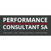 Performance Consultant - Emplois Fixes & Temporaires - Sélection de Cadres